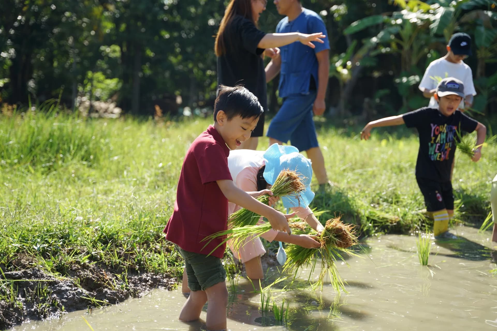2026 NIS Summer School