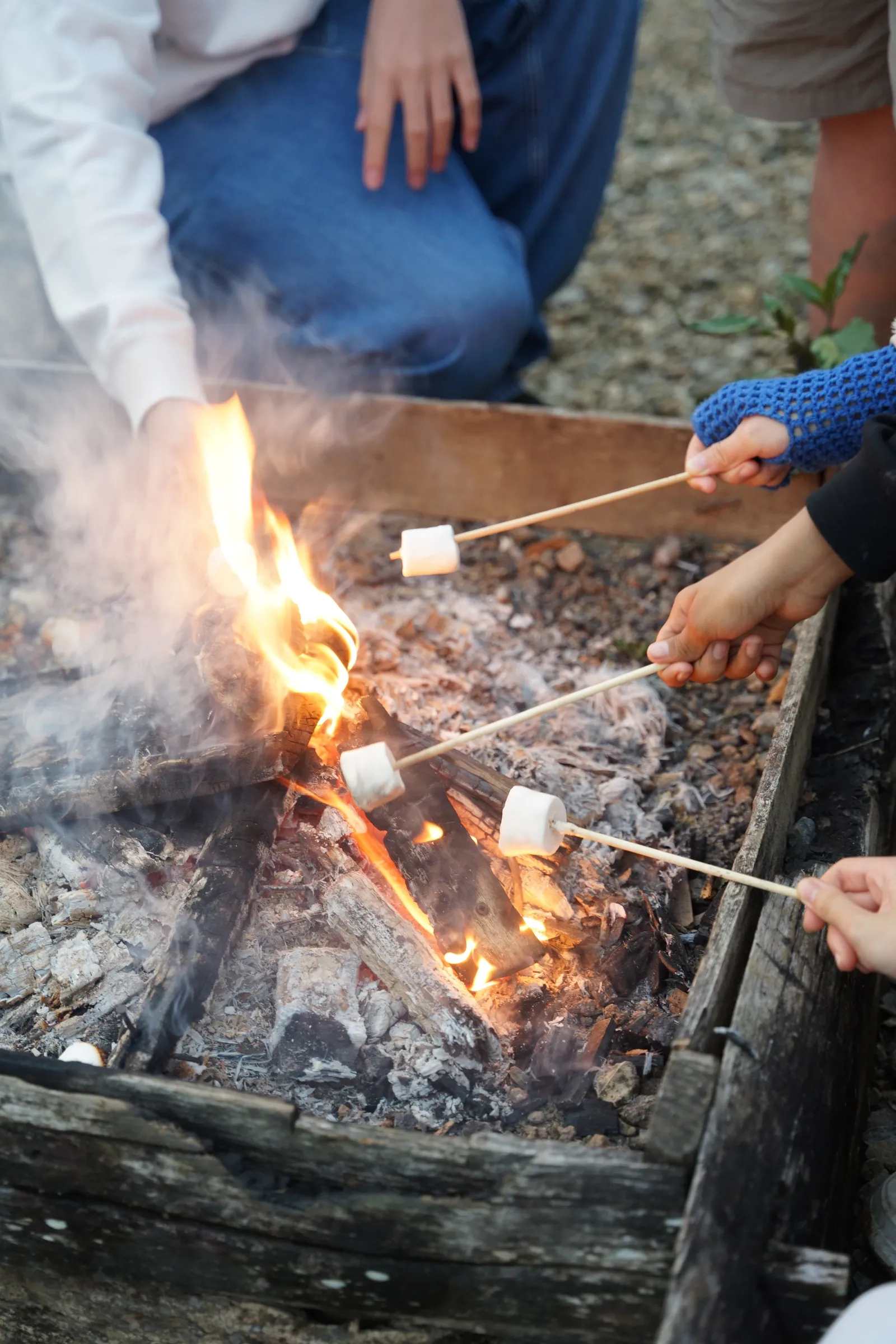 Winter Break Programs