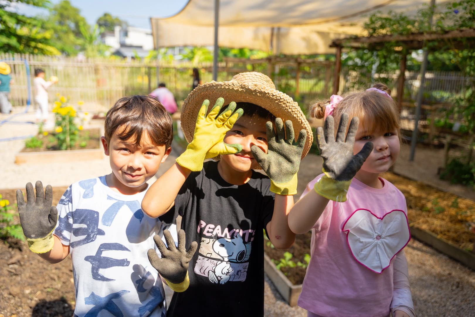 K3: Purposeful Learning through Play and Standards